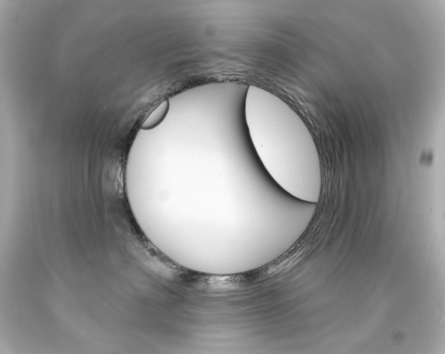 X0000094350622200711021315