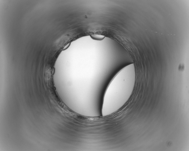 X0000094350623200711021315