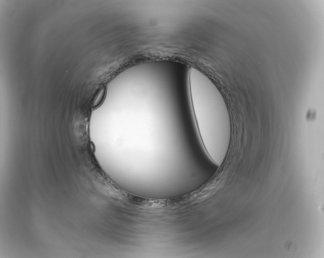 X0000094350624200711021314