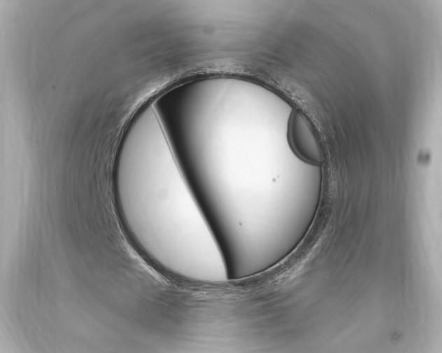 X0000094350625200711021314