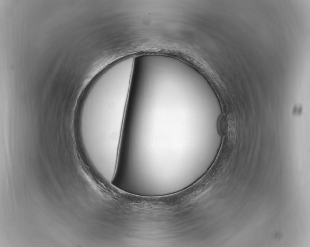 X0000094350626200711021314