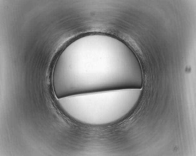 X0000094350628200711021314