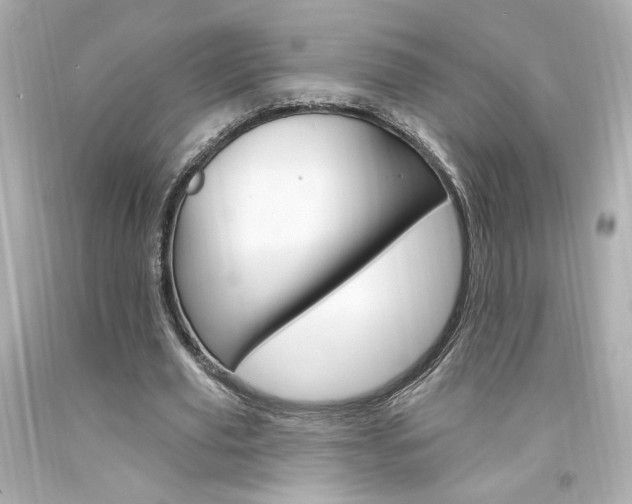 X0000094350629200711021314