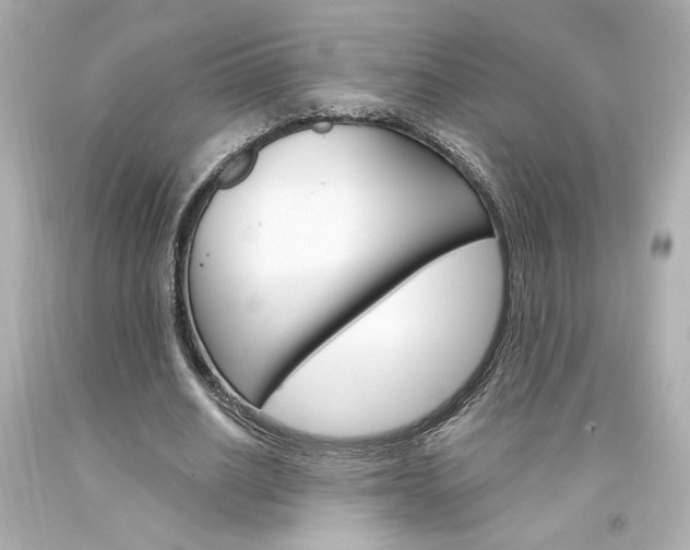X0000094350630200711021314