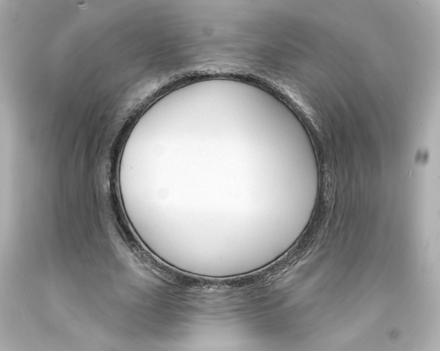X0000094350631200711021314