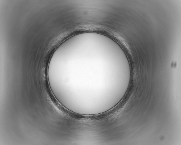 X0000094350633200711021314