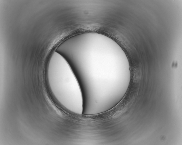 X0000094350634200711021314