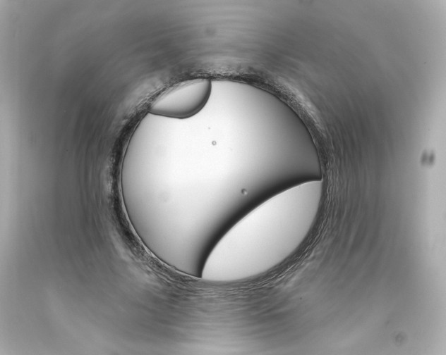 X0000094350635200711021314