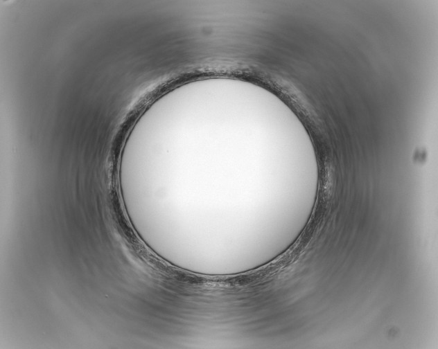 X0000094350636200711021314