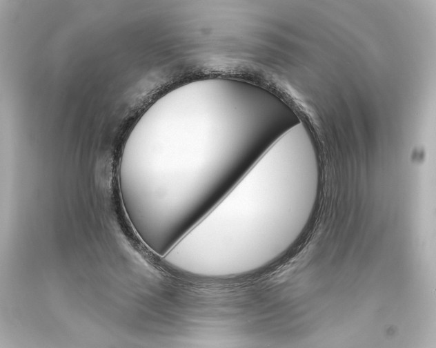 X0000094350637200711021314