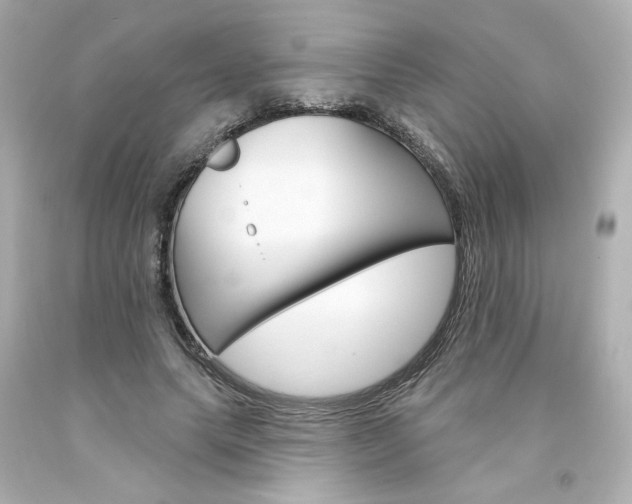 X0000094350639200711021314