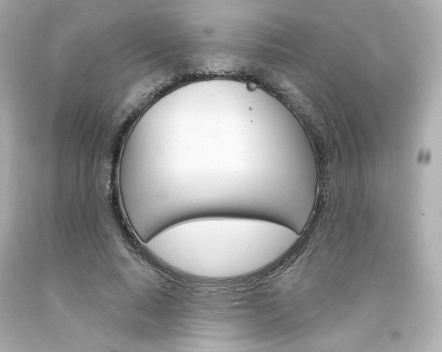 X0000094350640200711021314