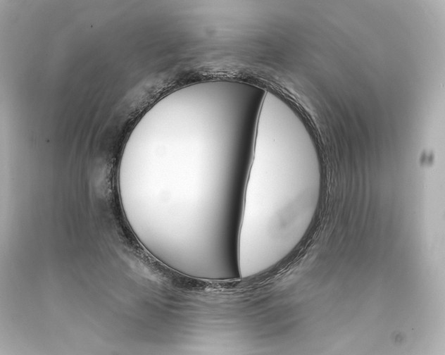 X0000094350641200711021314