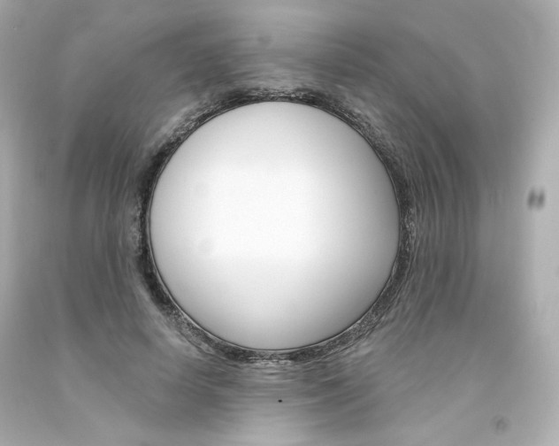 X0000094350642200711021314
