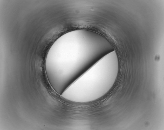 X0000094350643200711021314