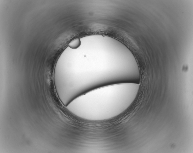 X0000094350644200711021314