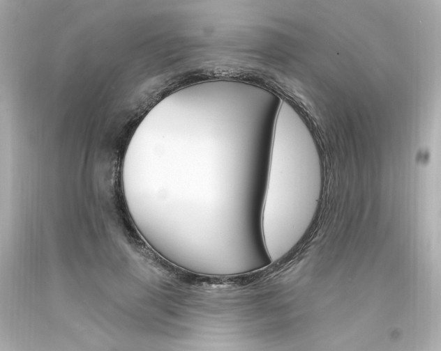 X0000094350645200711021314