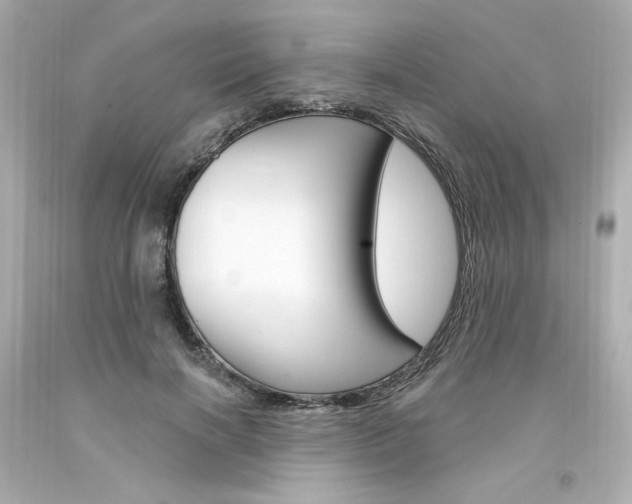 X0000094350646200711021314