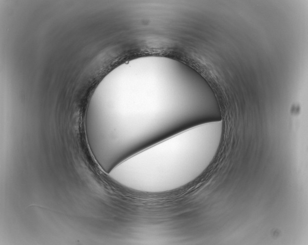 X0000094350647200711021314