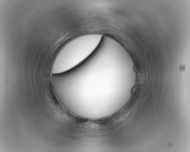 X0000094350648200711021314