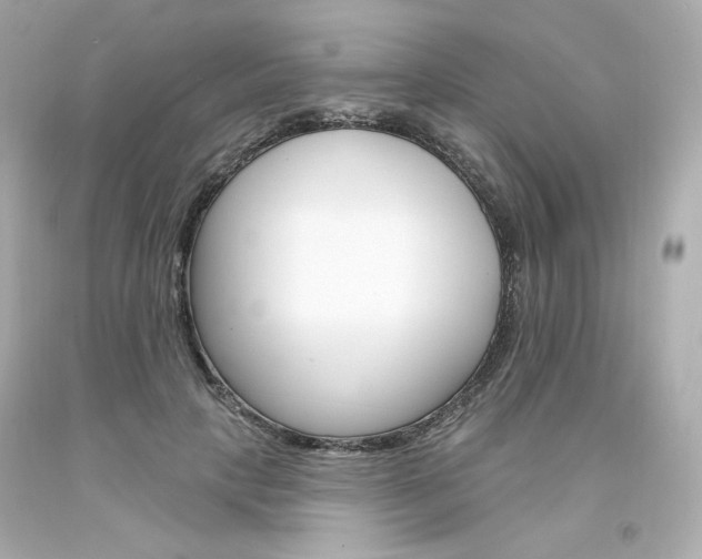 X0000094350649200711021314