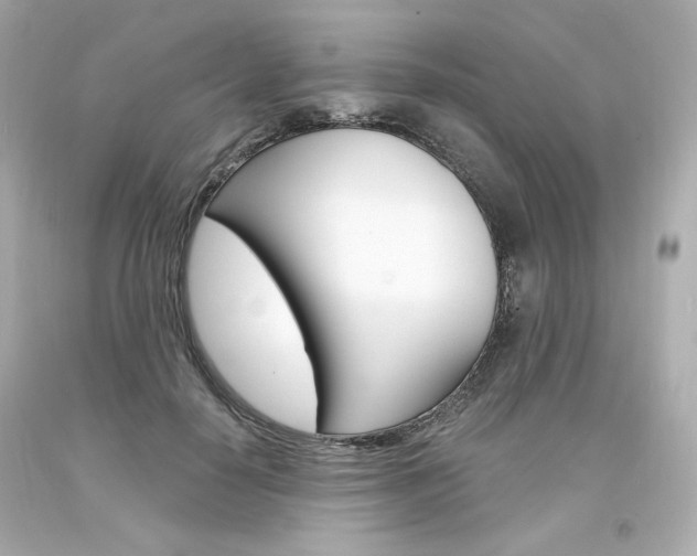 X0000094350650200711021314