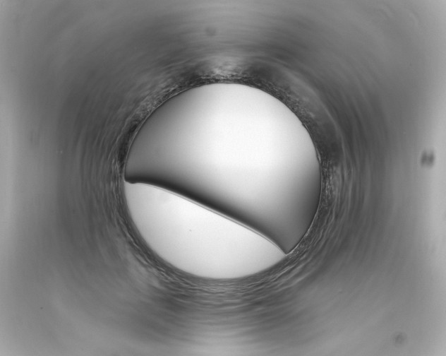X0000094350651200711021314