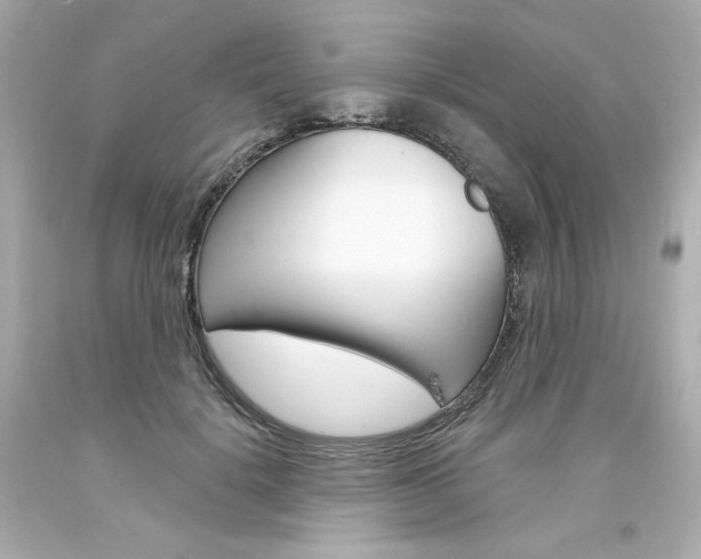 X0000094350652200711021314