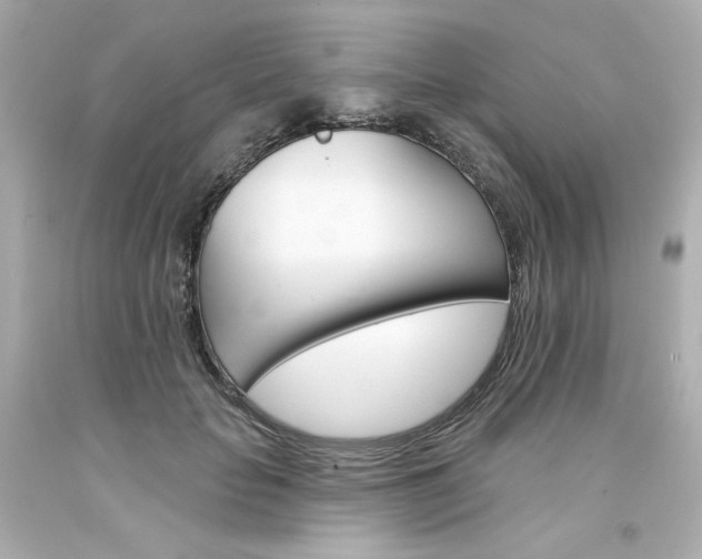X0000094350653200711021314