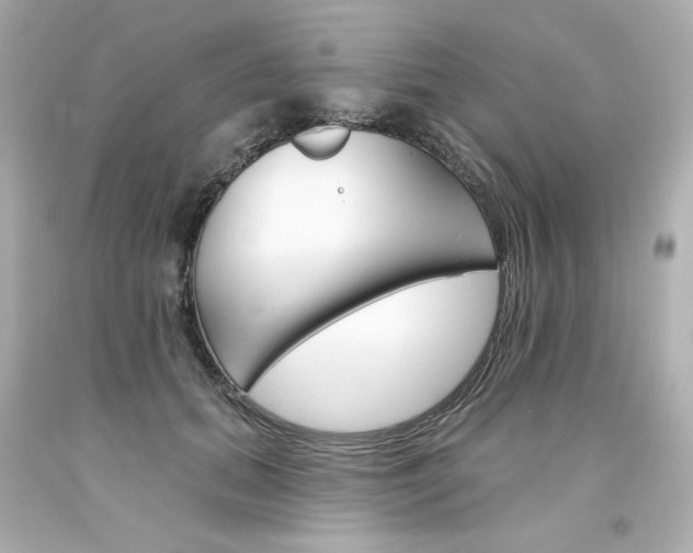 X0000094350655200711021314