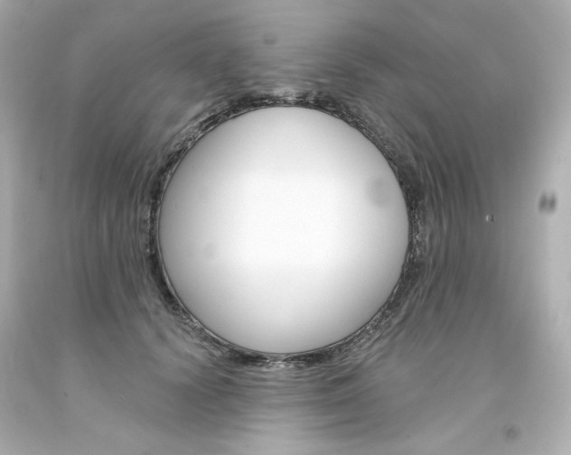 X0000094350656200711021314