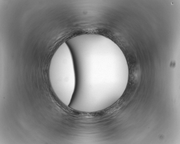 X0000094350658200711021314