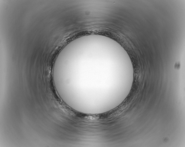 X0000094350660200711021314