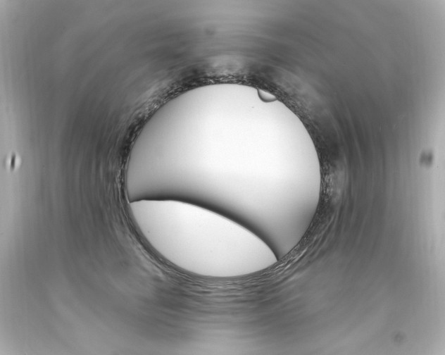 X0000094350662200711021314