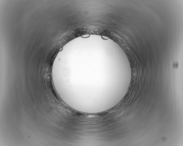 X0000094350663200711021314