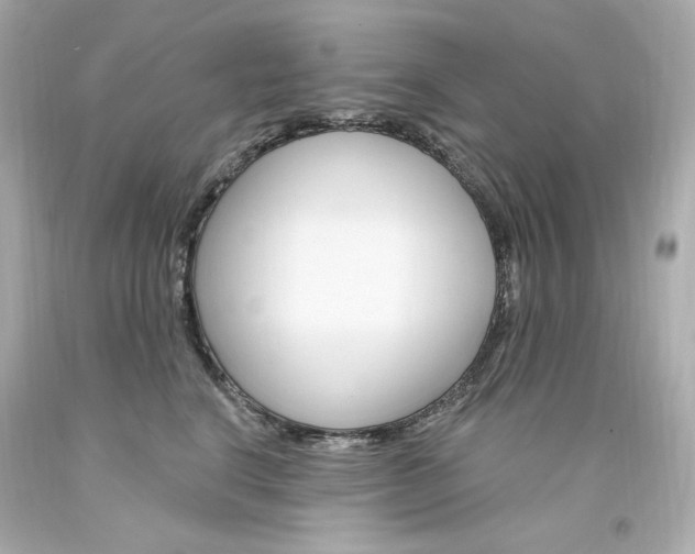X0000094350664200711021314