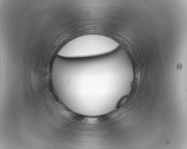 X0000094350665200711021314