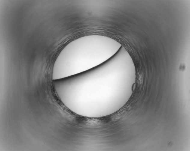 X0000094350666200711021314
