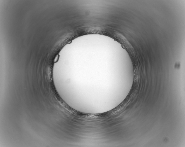 X0000094350669200711021314