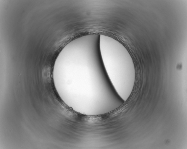 X0000094350670200711021314