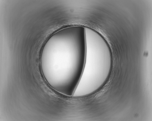 X0000094350673200711021314