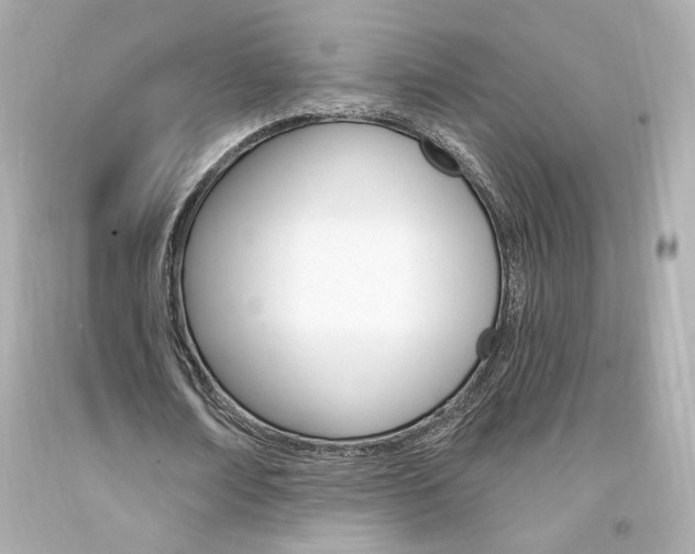 X0000094350674200711021314