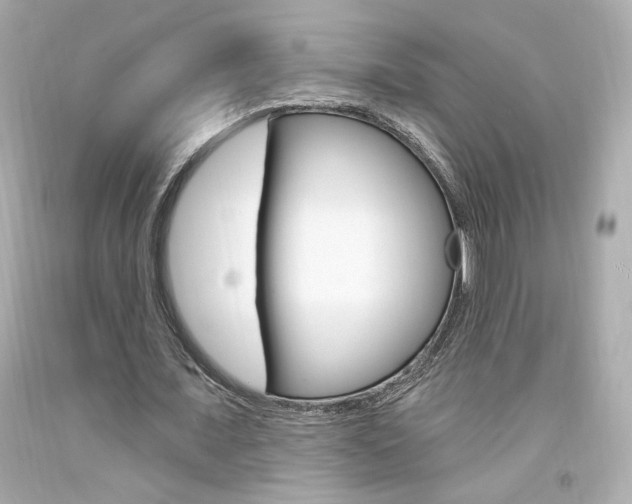X0000094350675200711021314
