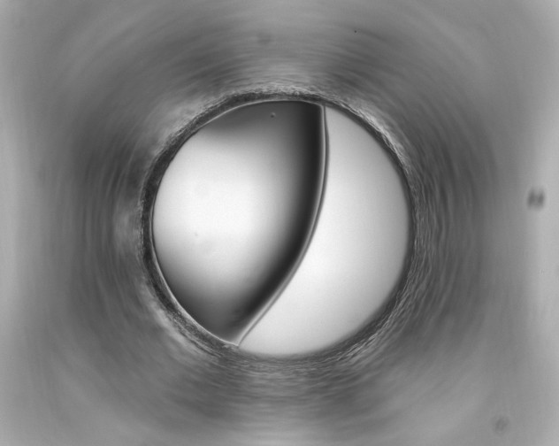 X0000094350677200711021314