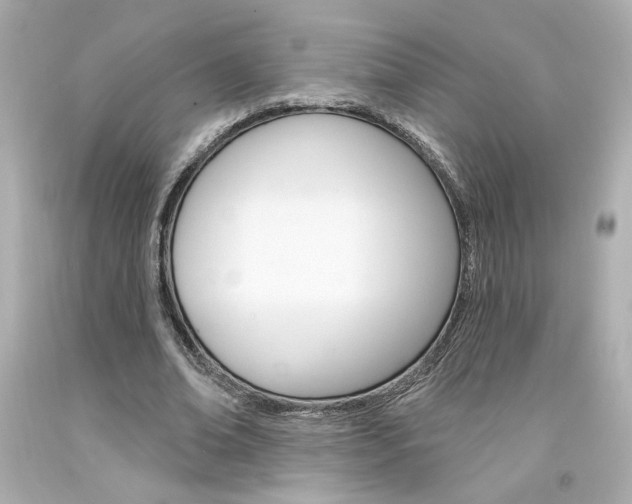 X0000094350678200711021314