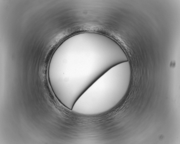 X0000094350679200711021314