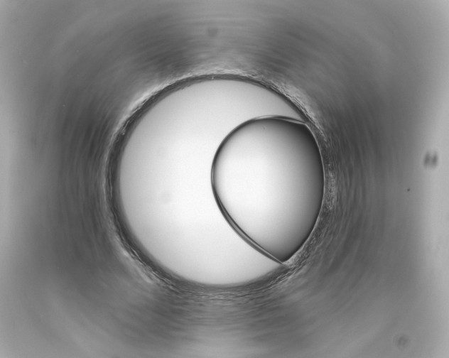 X0000094350680200711021314