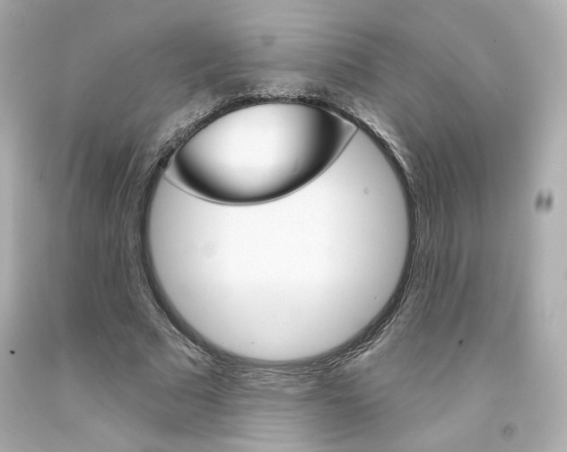 X0000094350681200711021314