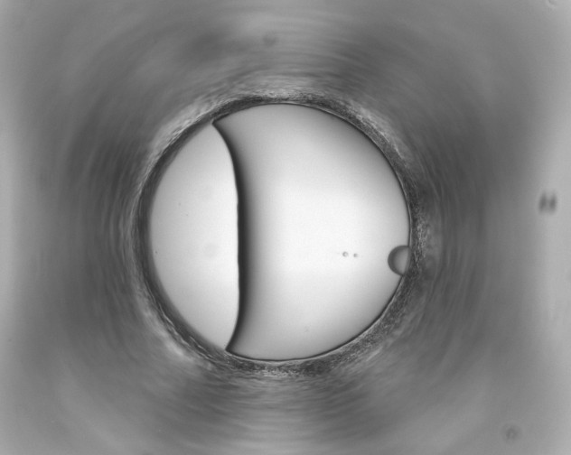 X0000094350682200711021314