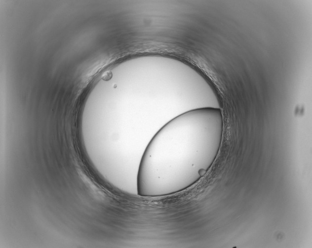 X0000094350683200711021314